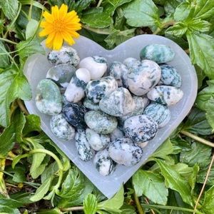 (2) Tumbled Tree Agate Stones